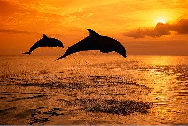 《鬼灭之刃：火神血风谭》最新宣传片 确定10月14日发售