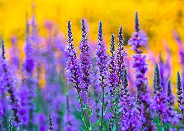 《死亡空间：重制版》剧本重写 男主新面容曝光